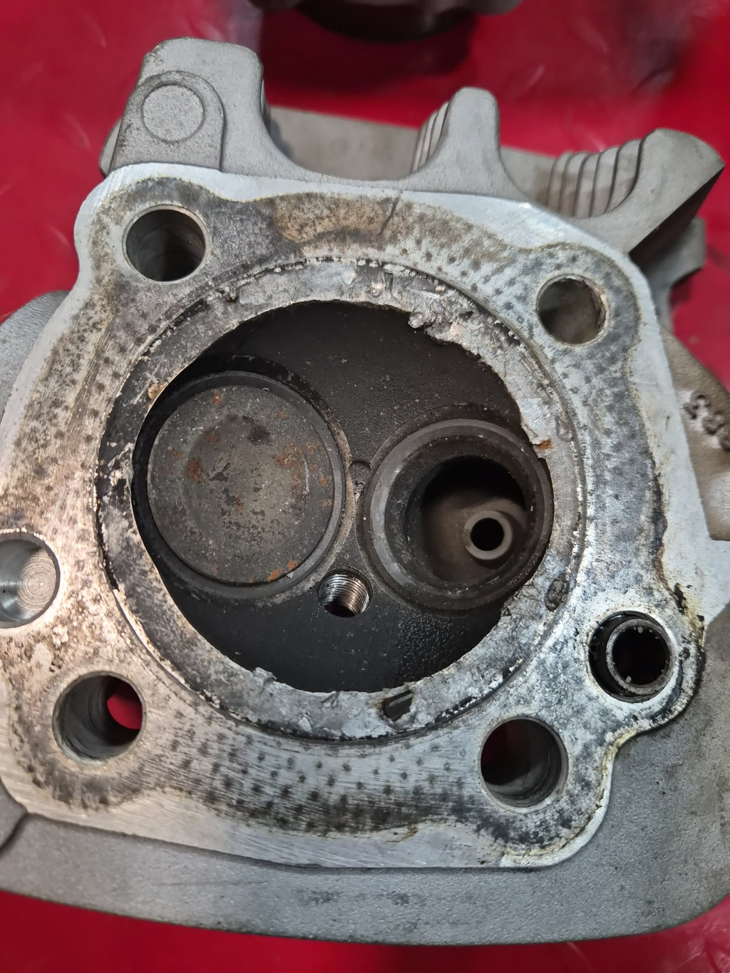 Harley Davidson Sportster 883 Zylinder + Zylinderköpfe DEFEKT