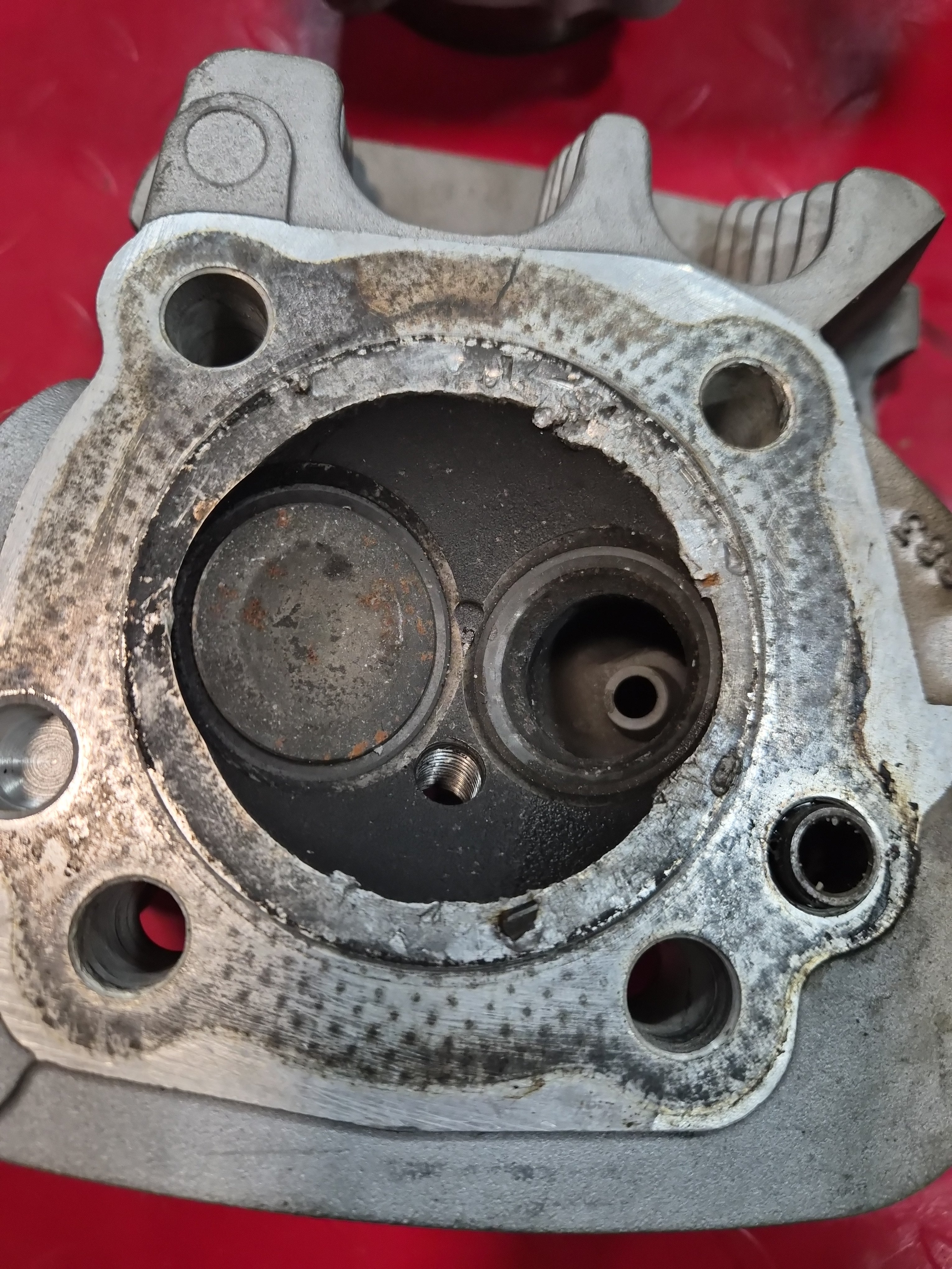 Harley Davidson Sportster 883 Zylinder + Zylinderköpfe DEFEKT